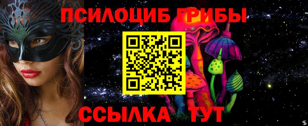 Гудермес  Галлюциногенные грибы Magic Shrooms  Вход с VPN 