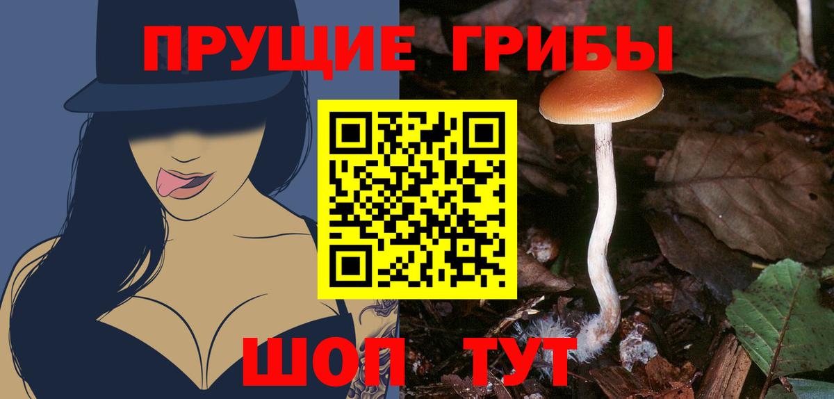 Галлюциногенные грибы ЛСД Гудермес